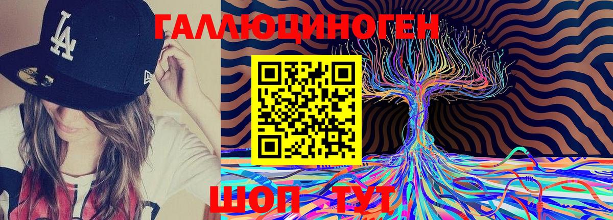 Псилоцибиновые грибы мухоморы Воркута