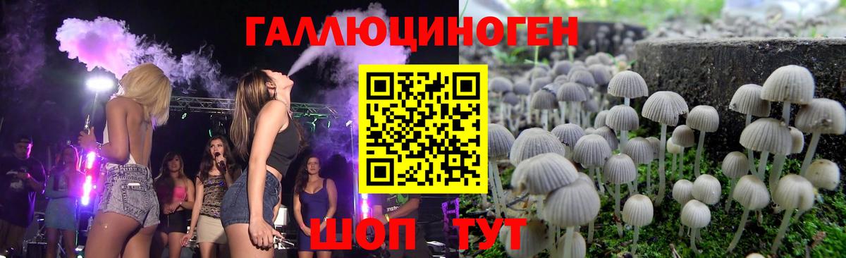 Галлюциногенные грибы GOLDEN TEACHER  купить наркотик  Воркута  Псилоцибиновые грибы Psilocybine cubensis  Вход с VPN 